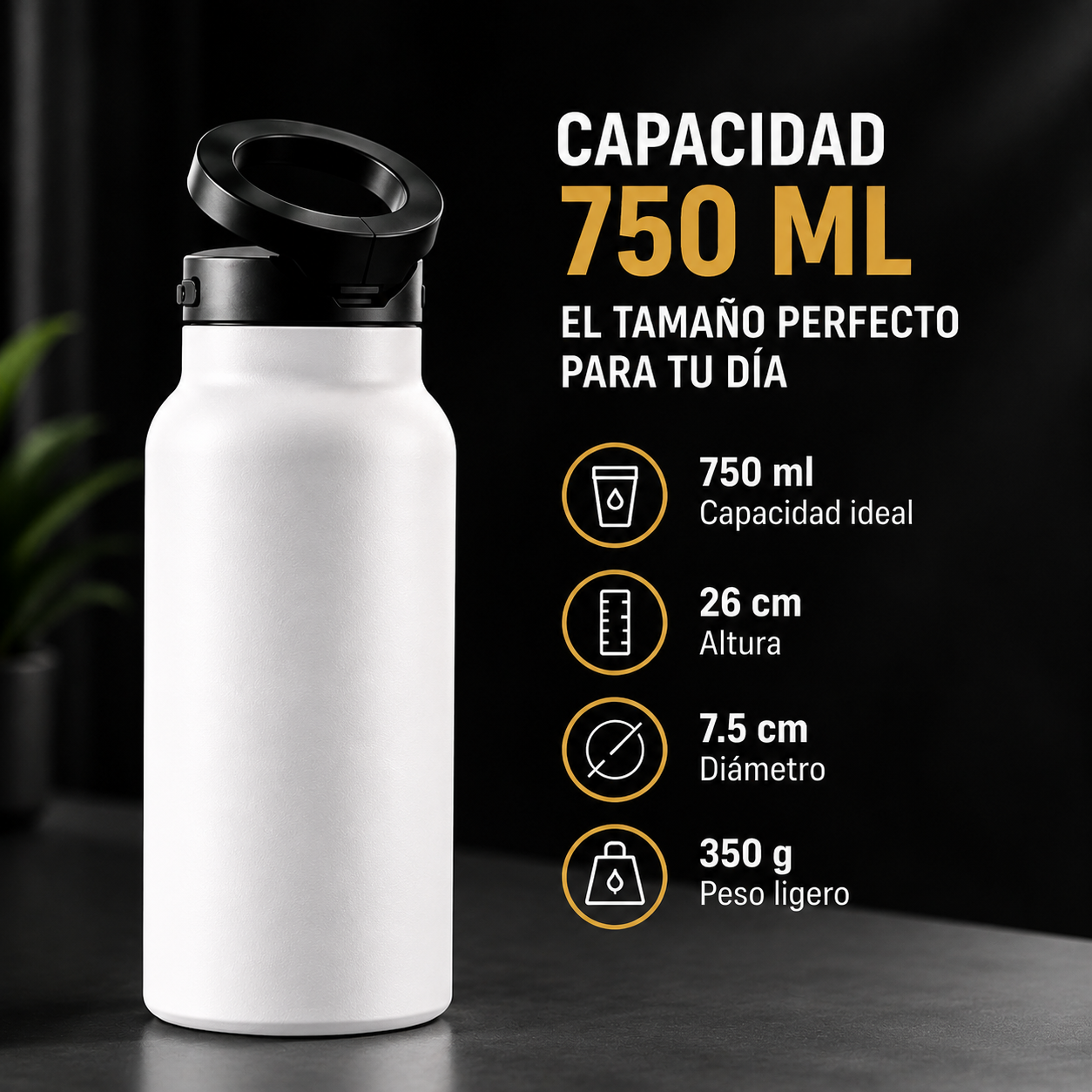 Daluro™ Termo Botella Magnética Premium 750ml